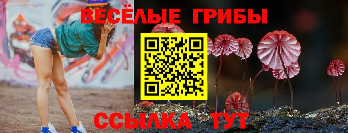 КОКАИН Королёв