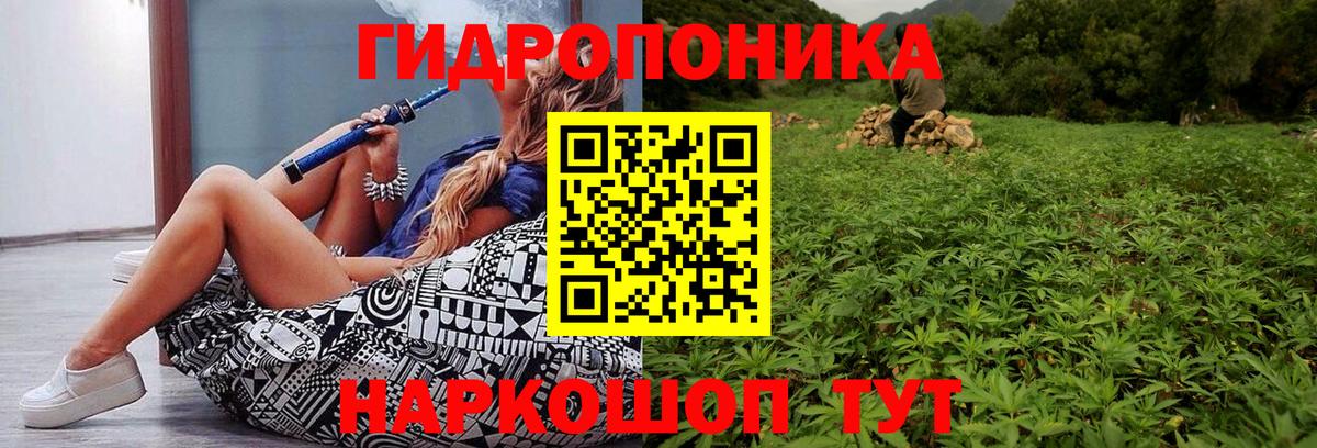 Марихуана Amnesia  МАРИХУАНА план  МАРИХУАНА Amnesia  Королёв  Вход с VPN 